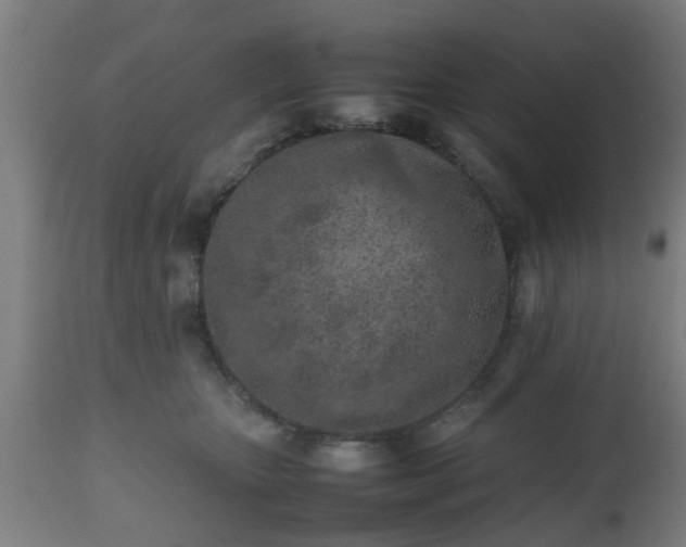 X0000112490467200908241330