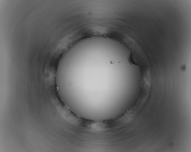 X0000112490468200908241330