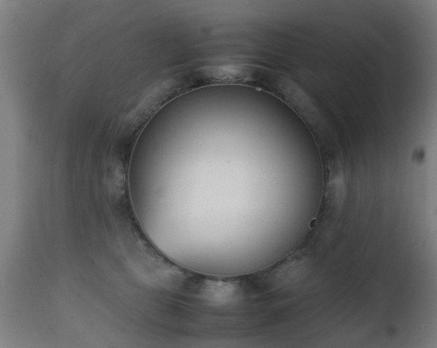 X0000112490469200908241330