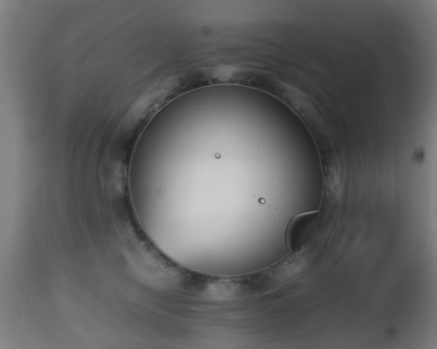 X0000112490470200908241330