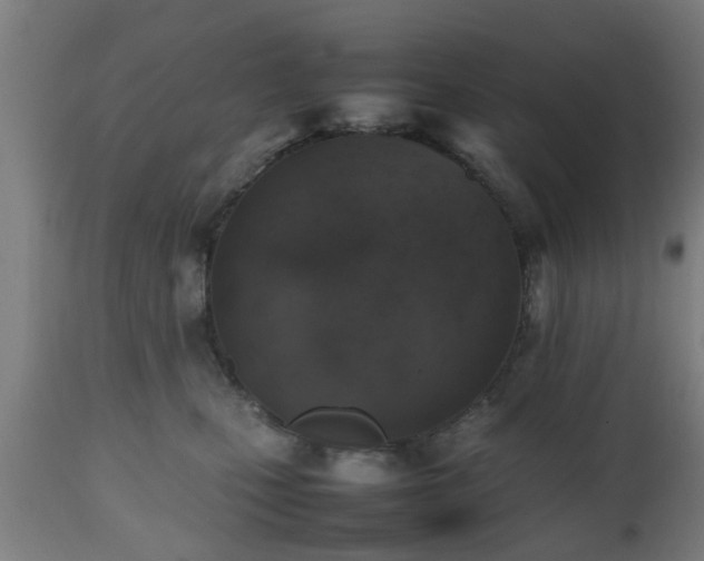 X0000112490471200908241330