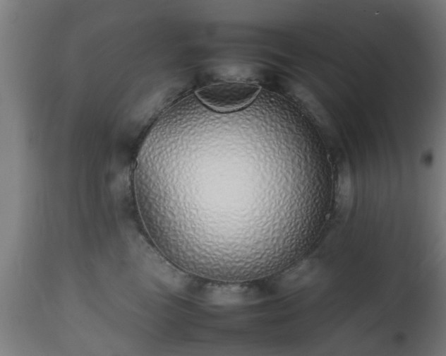 X0000112490473200908241330