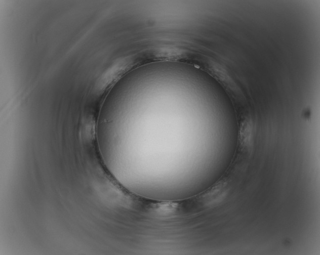 X0000112490474200908241330