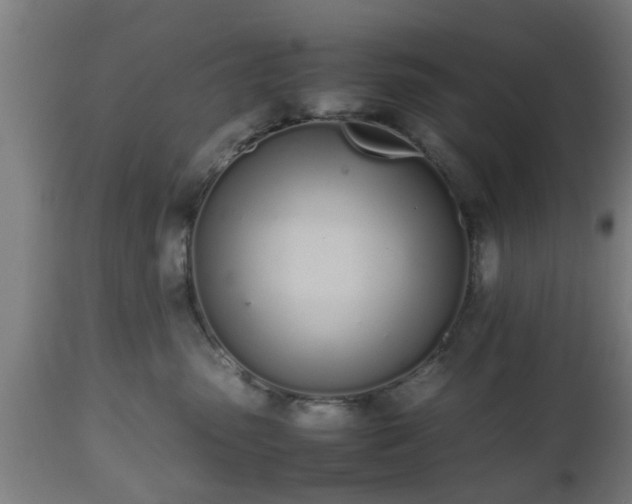 X0000112490475200908241330