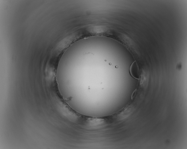 X0000112490476200908241330