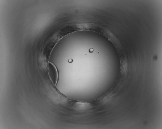 X0000112490477200908241330