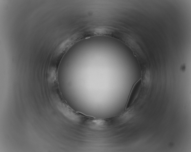 X0000112490478200908241330