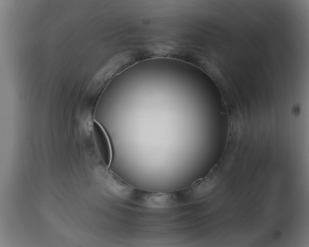 X0000112490479200908241330