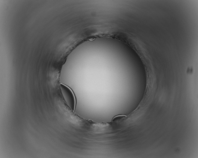 X0000112490480200908241330