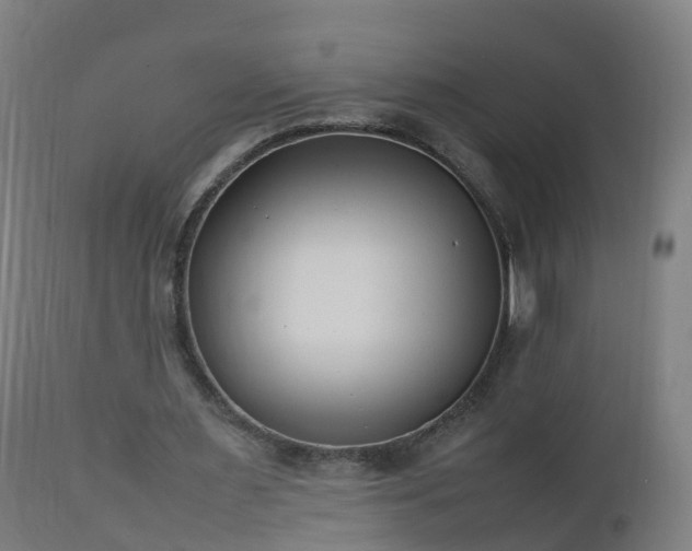 X0000112490483200908241329