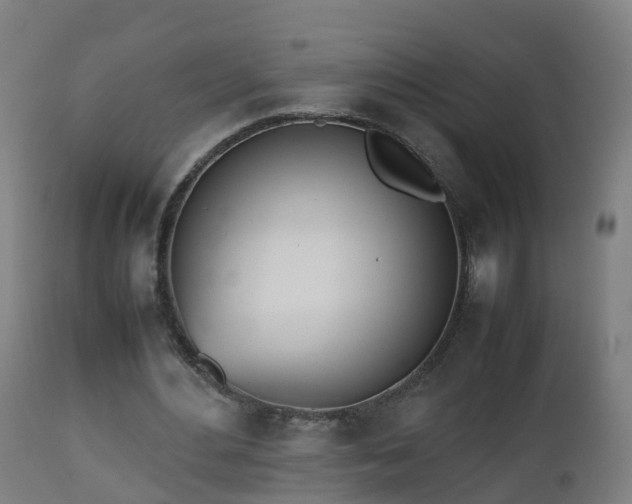 X0000112490484200908241329