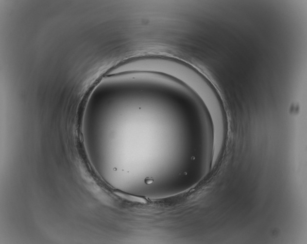 X0000112490485200908241329