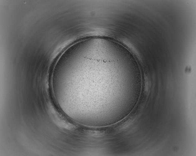 X0000112490486200908241329