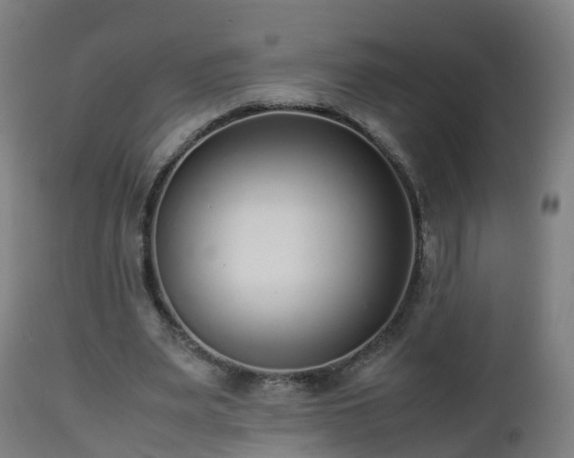 X0000112490487200908241329