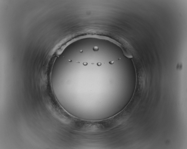 X0000112490488200908241329