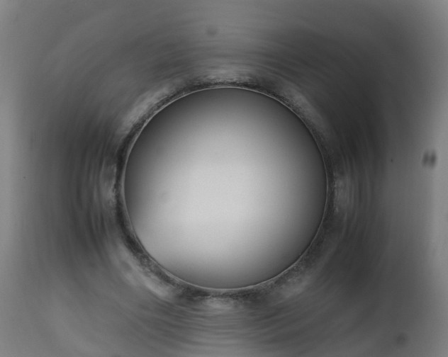 X0000112490490200908241329