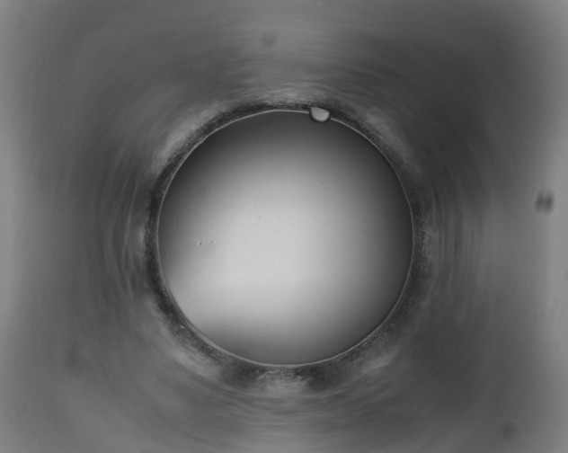 X0000112490491200908241329