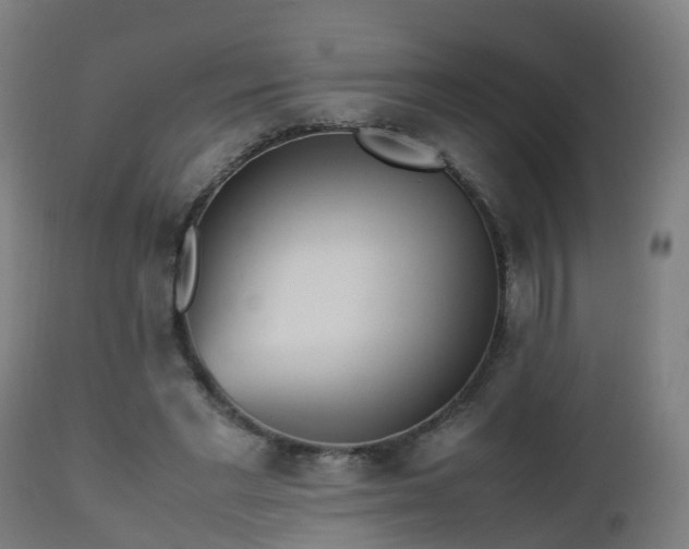 X0000112490493200908241329