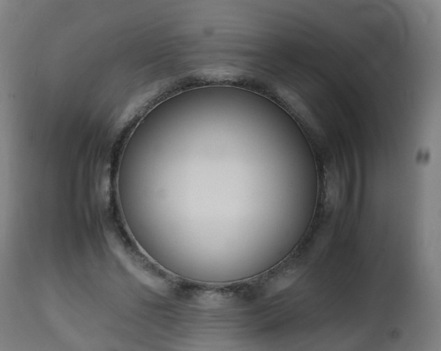 X0000112490494200908241329