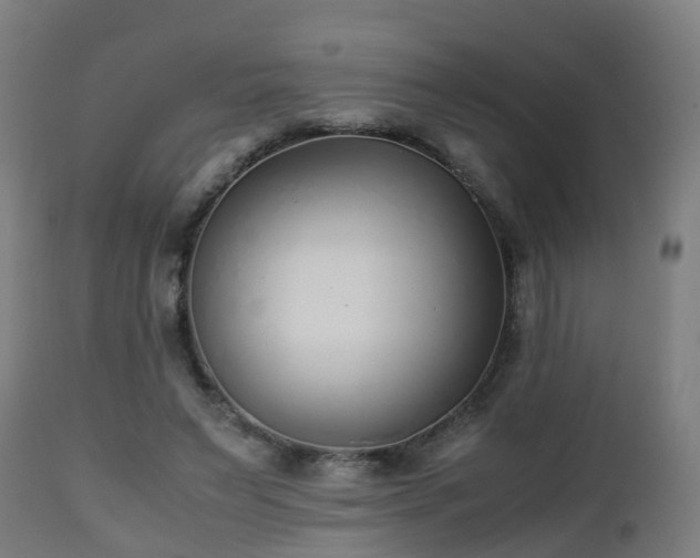 X0000112490495200908241329