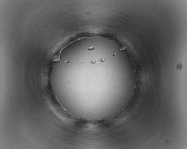 X0000112490496200908241329