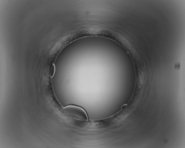 X0000112490497200908241329