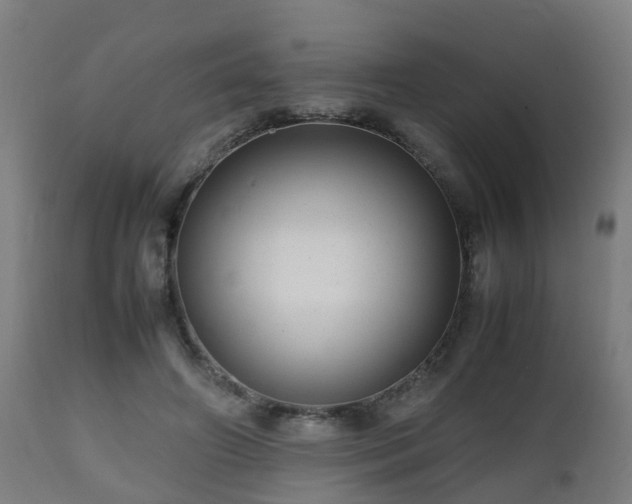 X0000112490498200908241329