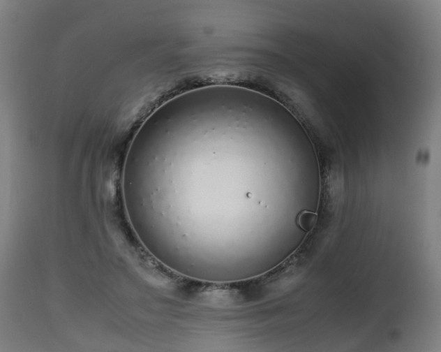 X0000112490499200908241329