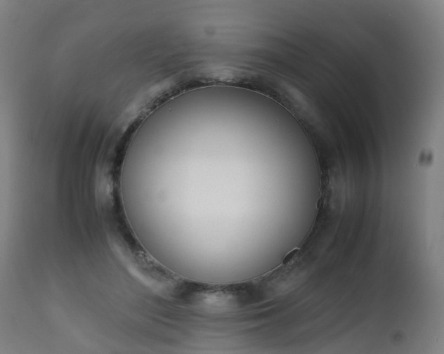 X0000112490500200908241329