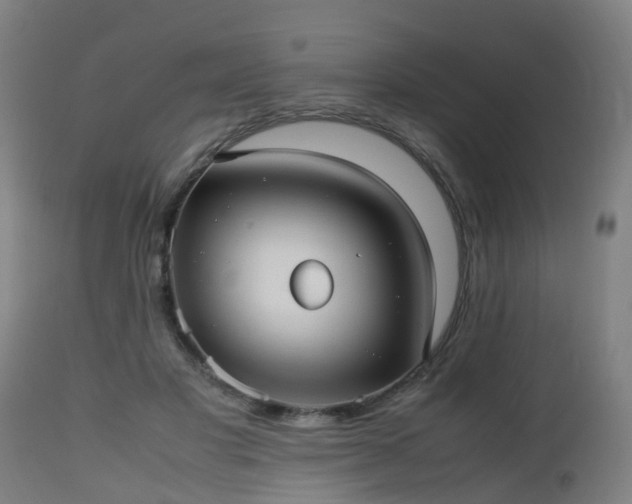 X0000112490501200908241329