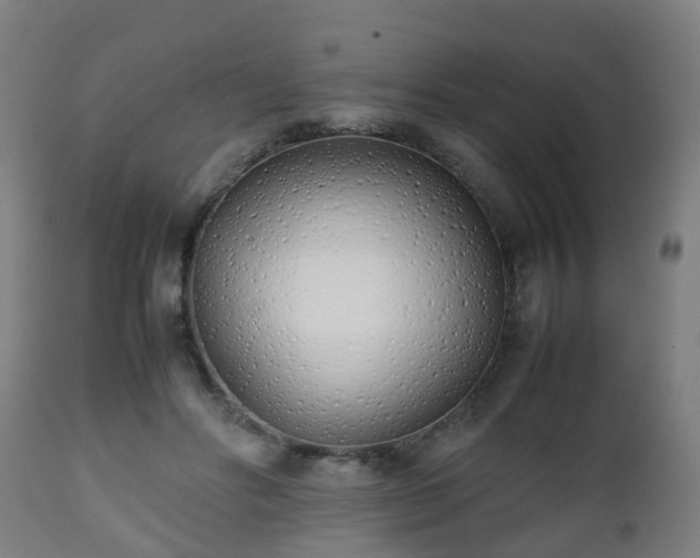 X0000112490502200908241329