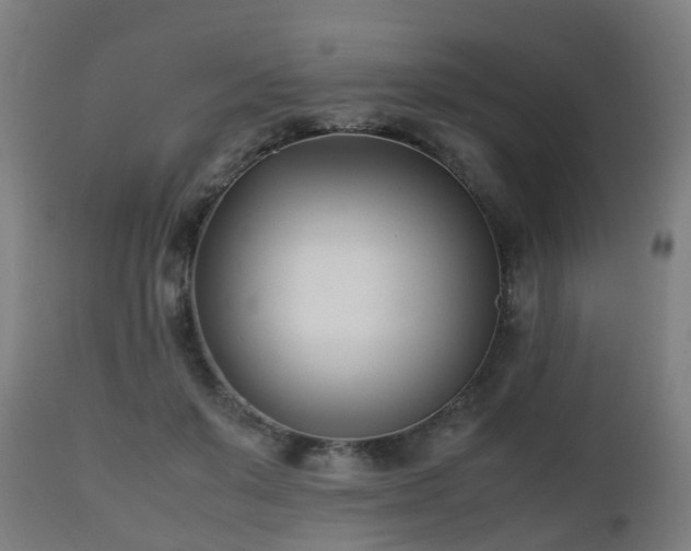 X0000112490503200908241329