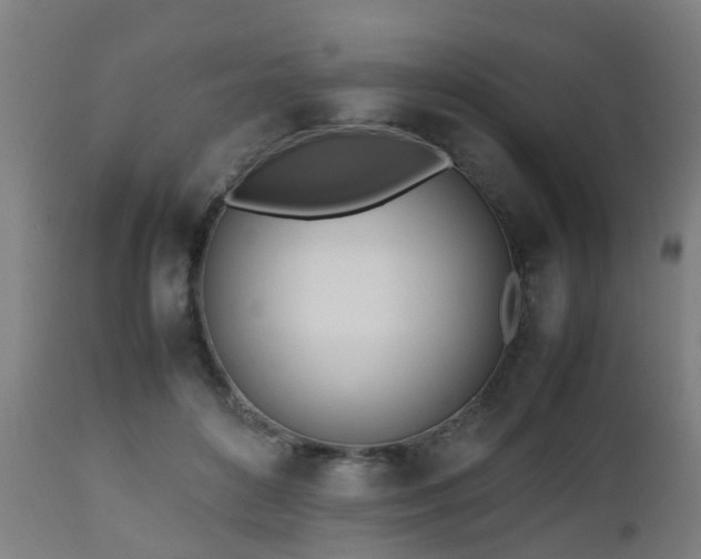 X0000112490504200908241329