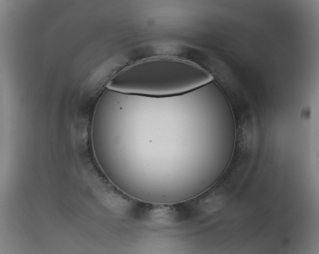 X0000112490505200908241329