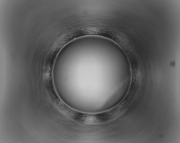 X0000112490507200908241329