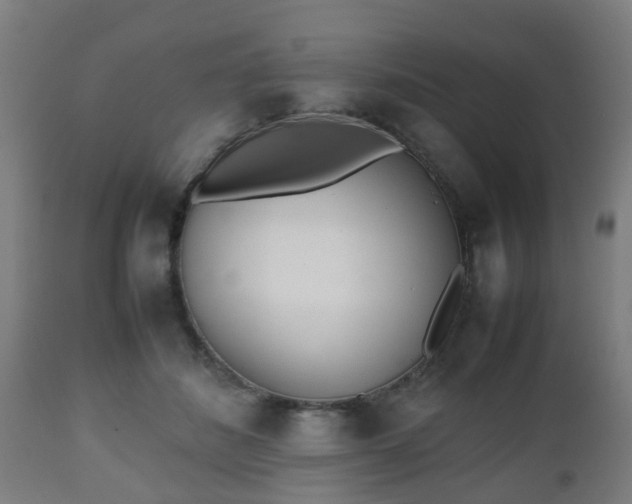 X0000112490508200908241329