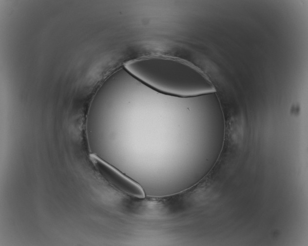 X0000112490509200908241329