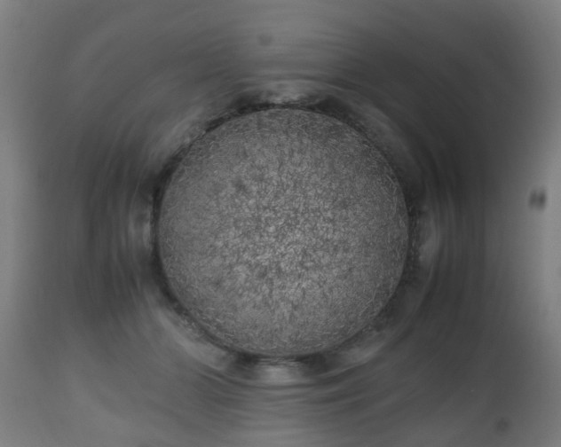 X0000112490510200908241329