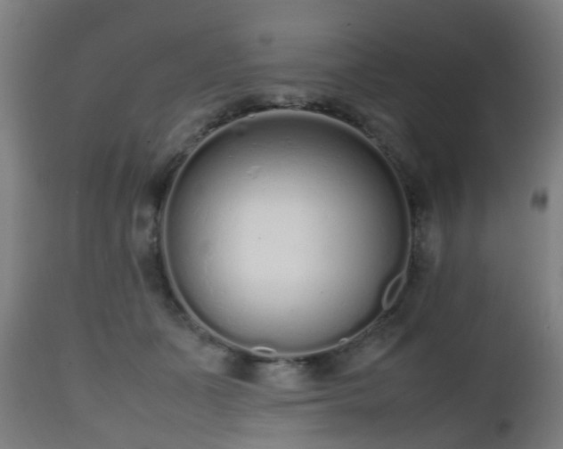 X0000112490511200908241329