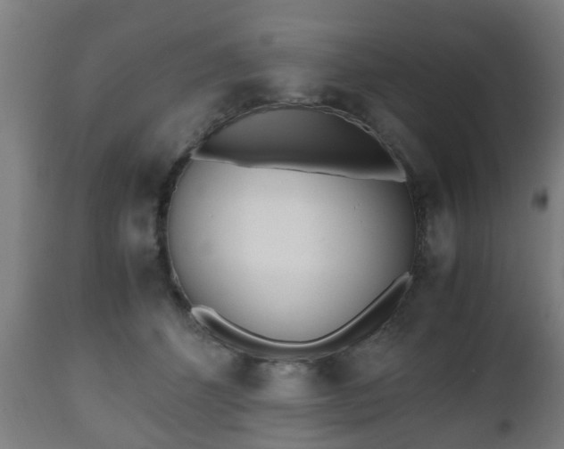 X0000112490512200908241329