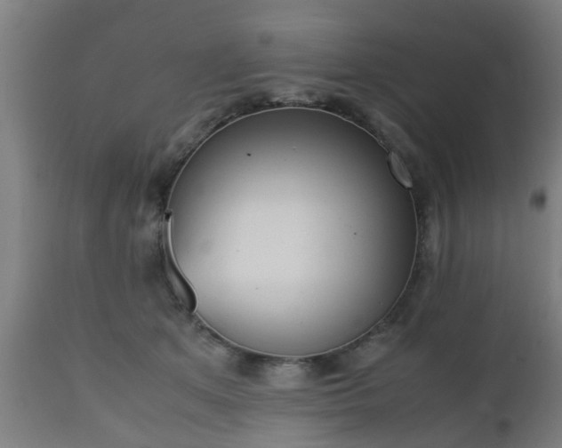 X0000112490513200908241329