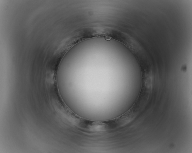 X0000112490514200908241329