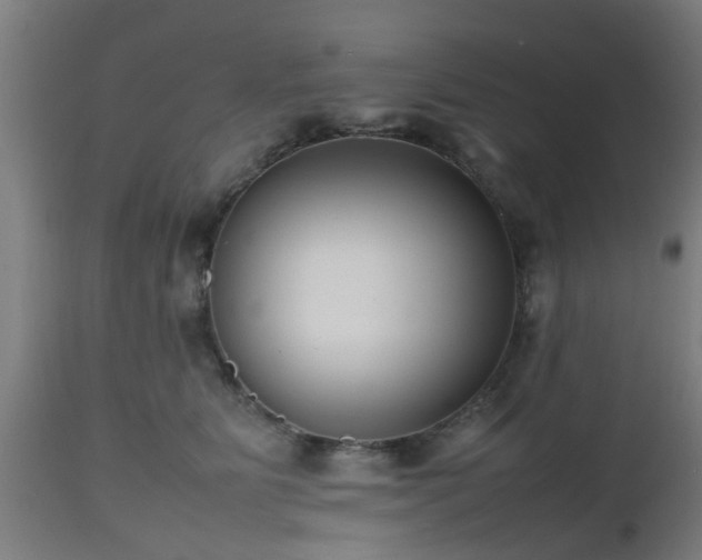 X0000112490515200908241329