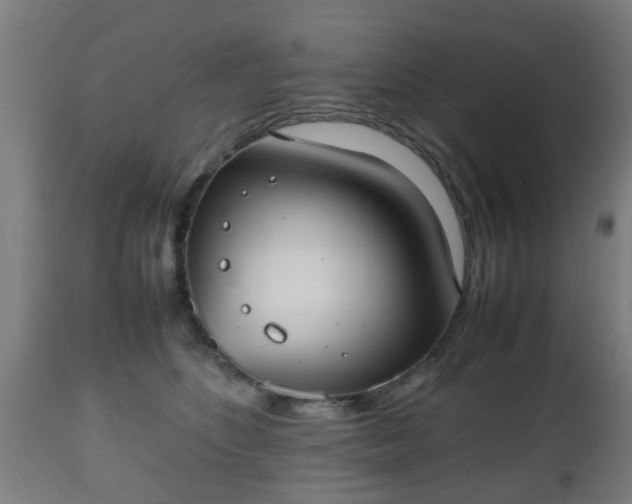 X0000112490516200908241329