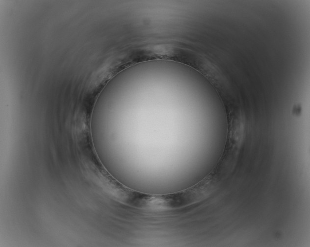 X0000112490518200908241329