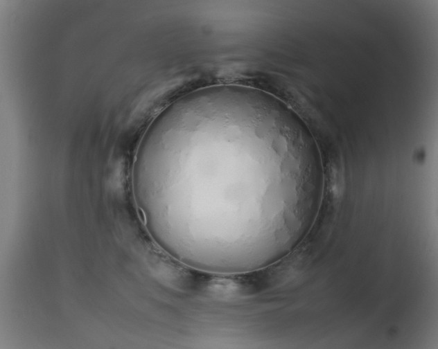 X0000112490519200908241329