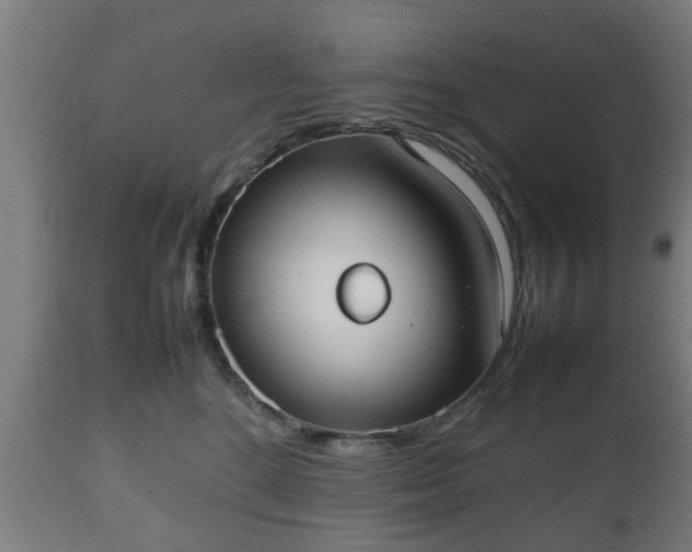 X0000112490520200908241329