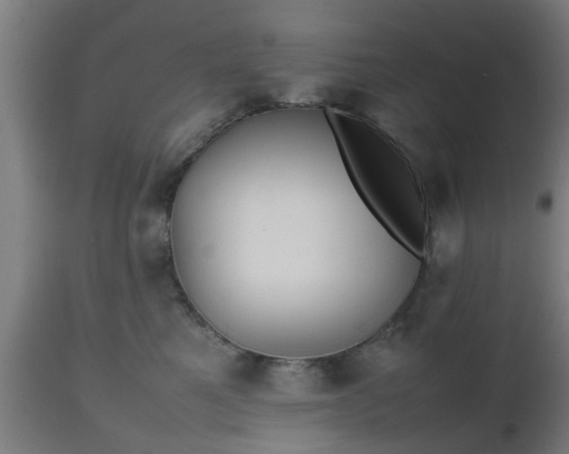 X0000112490521200908241329