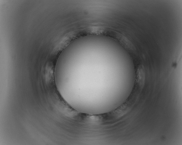 X0000112490522200908241329