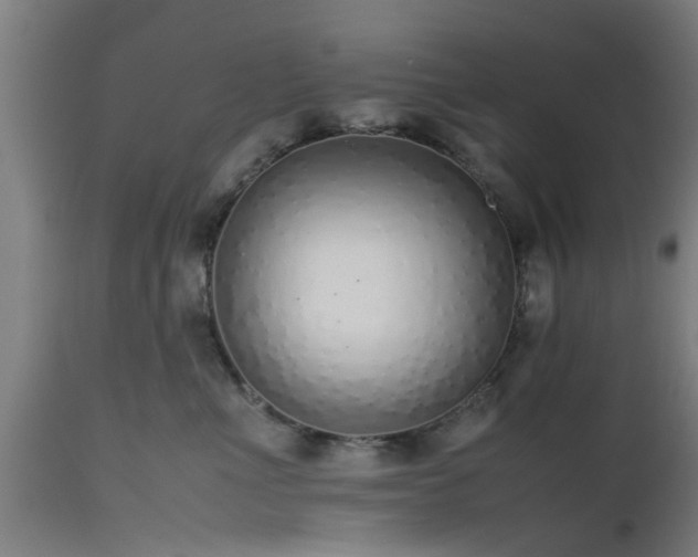 X0000112490523200908241329